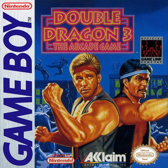 Double Dragon 3 : The Arcade Game
