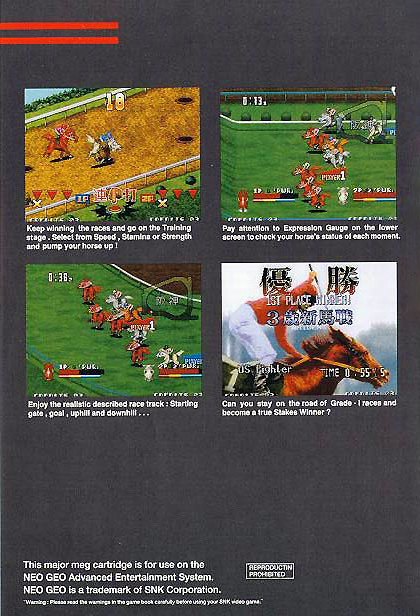 Stakes Winner — Box back