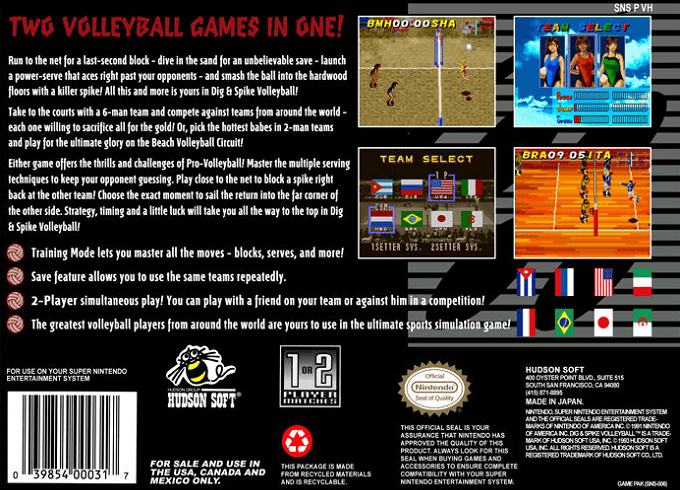 Dig & Spike Volleyball — Box back