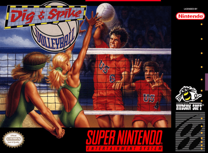 Dig & Spike Volleyball