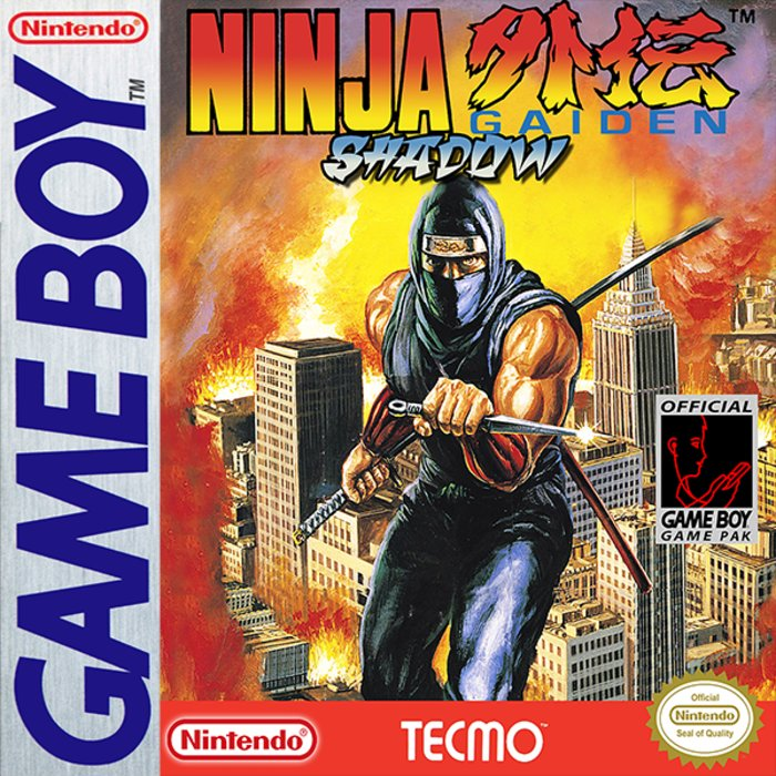 Ninja Gaiden Shadow