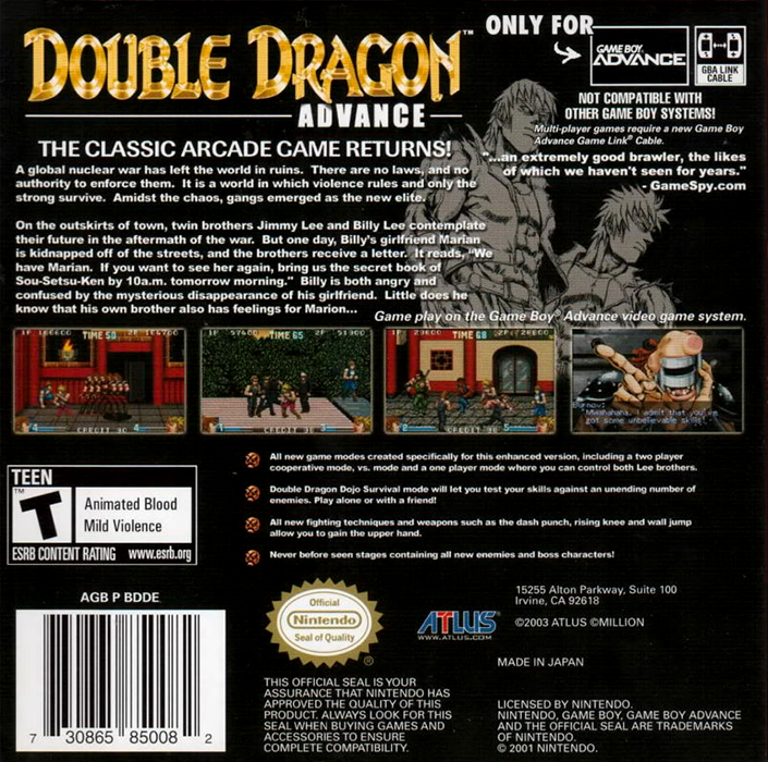 Double Dragon Advance — Box back