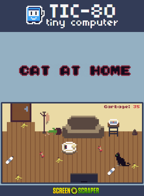 Cat At Home